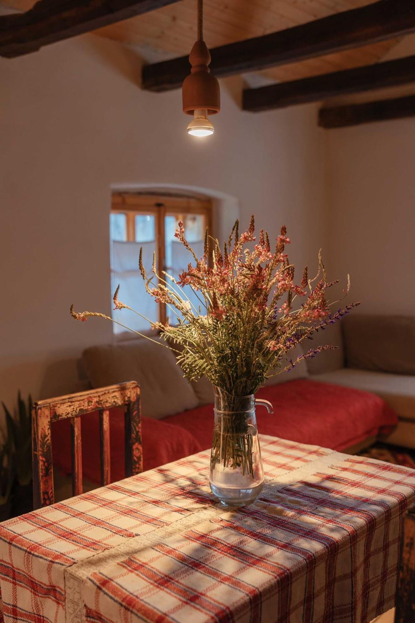 Viscri 9 Guest House Ngoại thất bức ảnh